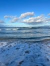 IMG_6905.jpeg