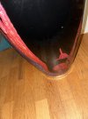 IMG_7525.jpeg
