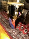 IMG_7526.jpeg