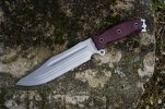 Busse Hell Razor 2 - Special Edition 2020.jpg