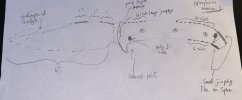 IMG_6649.jpeg
