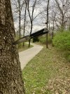 IMG_3434.jpeg