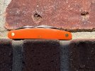 IMG_3072.jpeg