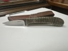 IMG_0561.jpeg