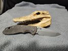 gatorx18.jpg