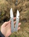 IMG_7509.jpeg