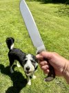 IMG_3536.jpeg