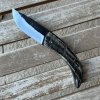 Amicu ram horn.jpg