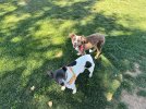 IMG_3024.jpeg