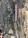 IMG_6160.jpeg