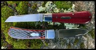 IMG_2561.jpeg