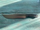 IMG_1991.jpeg