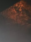 20240408_152835.jpg