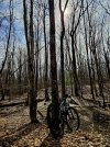 20240408_151851.jpg