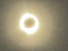 IMG_1070.jpeg