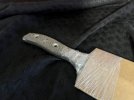 IMG_6185.jpeg IMG_6185.jpeg