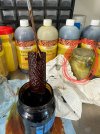 IMG_4783.jpeg