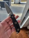 busse recto.jpg