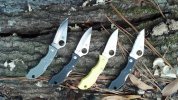 Spyderco Ladybugs.jpg