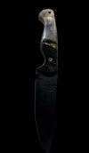 IMG_6095.jpeg