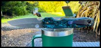 IMG_2749.jpeg