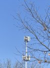 IMG_2754.jpeg