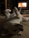 IMG_8756.jpeg