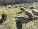 IMG_7081.jpeg