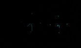 DSC062341080.JPG