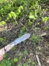 IMG_0075.jpeg