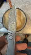 IMG_8950.jpeg