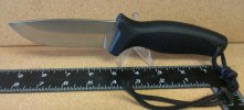 CAM01498-1.jpg