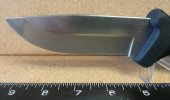 CAM01499-1.jpg