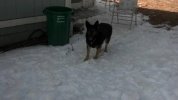 uploadfromtaptalk1392007736038.jpg