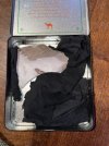 IMG_2629.jpeg