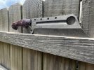 IMG_6382.jpeg