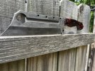 IMG_6383.jpeg