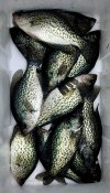 IMG_1194.jpeg