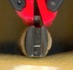 ScrattedHawk3.jpg