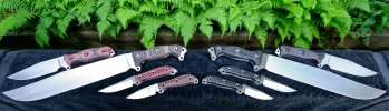 Busse-BLADESE2009_Sets.jpg