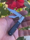 IMG_3199.jpeg