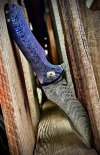 IMG_7856.jpeg