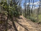 IMG_2432.jpeg