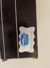 IMG_4354.jpeg