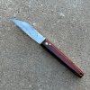 Montpellier cocobolo.jpg
