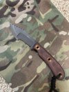 IMG_2998.jpeg