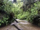 IMG_3272.jpeg