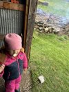 IMG_7335.jpeg