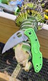 Spyderco Salt 2 Wharncliffe Serrated Bananas .jpg