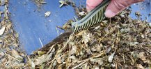 Spyderco Caribbean Salt Sheepsfoot Serrated Scraping Bunk Feeder.jpg